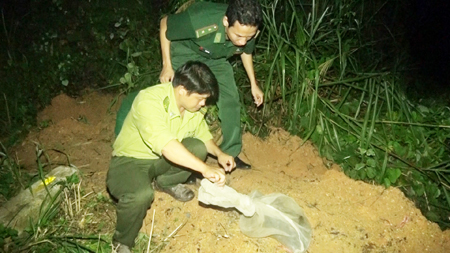 Thả 9 cá thể động vật hoang dã về tự nhiên