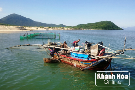 Cá chết trắng ở vũng Sim