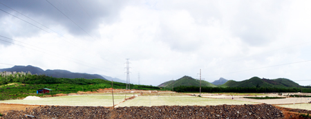 Chính sách hỗ trợ nông nghiệp: Công cụ &quot;mềm&quot; để phát triển