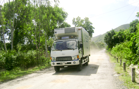 Chủ phương tiện còn thờ ơ