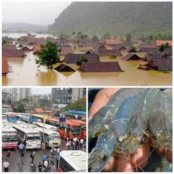 Chỉ đạo, điều hành của Chính phủ, Thủ tướng Chính phủ nổi bật tuần từ 12-16/12