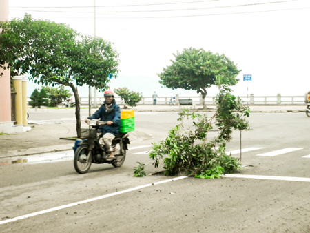 Sụt, lún giữa đường