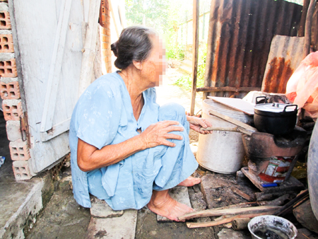 Kỷ niệm 55 năm ngày Dân số Việt Nam (26-12-1961 - 26-12-2016)