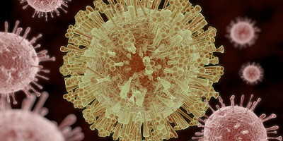 Virus Zika được xem là thủ phạm gây ra căn bệnh đầu nhỏ