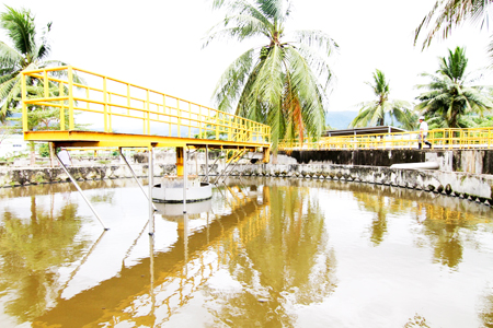 Bảo vệ môi trường để thu hút đầu tư