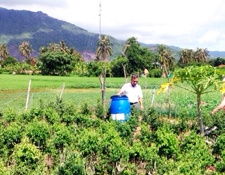 Nhân rộng mô hình làm phân bón từ rác thải