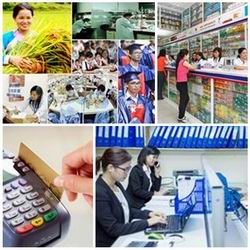 Chỉ đạo, điều hành của Chính phủ, Thủ tướng Chính phủ nổi bật tuần từ 2-6/1