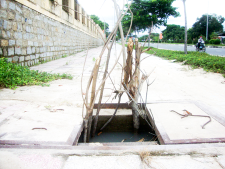 Hố trên lề đường