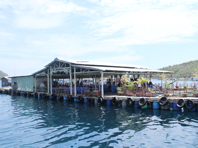 Không đưa khách du lịch đến các bè kinh doanh nhà hàng nổi