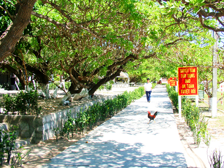 Gà trên đường “làng” đảo Song Tử Tây