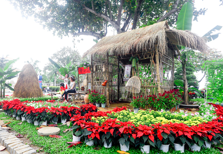 Chút dân dã giữa lòng phố biển