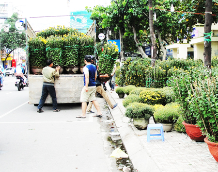 Hoa Tết: Giá cao, sức mua yếu