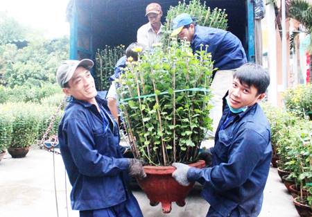 Mưu sinh ngày giáp Tết