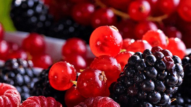 Những lợi ích bất ngờ từ các loại quả mọng