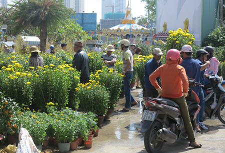 Ngày cuối năm: nắng đẹp, người dân đổ ra đường mua hoa Tết
