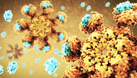 Những thành tựu y khoa tuyệt vời của thế giới năm qua