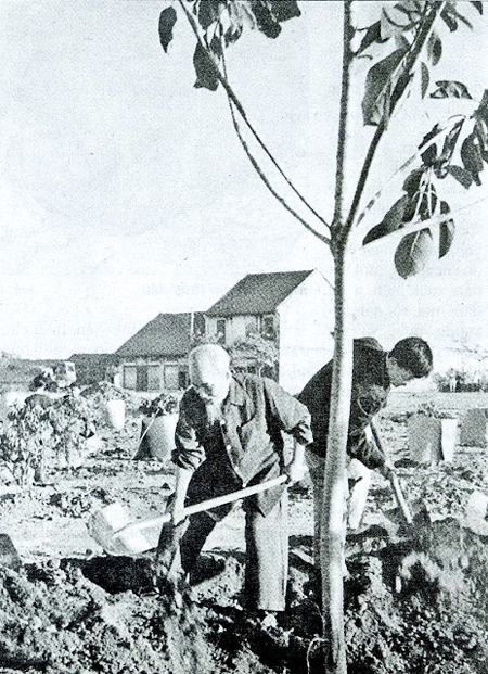 Bác Hồ và Tết trồng cây: Tầm nhìn đi trước thời đại