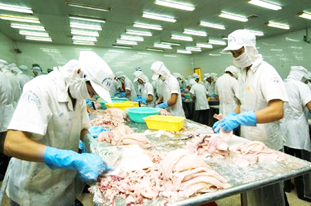 Việt Nam đứng thứ 4 xuất khẩu mực chế biến vào EU