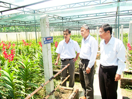 Tham quan vườn lan Monkara