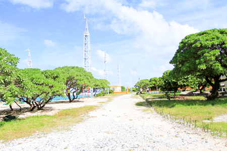 Sức sống nơi đảo xa