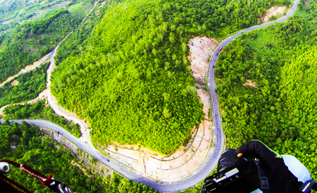 Nỗ lực quản lý, bảo vệ rừng