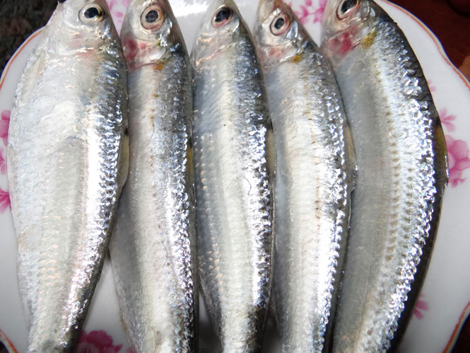 Chuyên gia chỉ cách ăn để giúp duy trì làn da trẻ đẹp