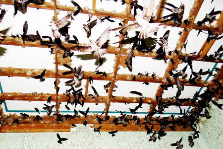 Nhiều công trình khoa học có giá trị cao