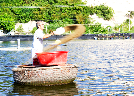 Phát triển nuôi trồng thủy sản: Cần tháo gỡ khó khăn