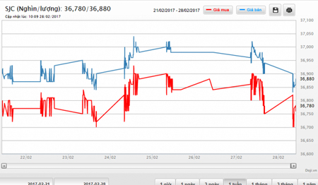 Vàng SJC đột ngột giảm mạnh