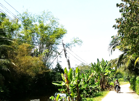 Đường dây điện sau công tơ nhằng nhịt tại thôn Tuân Thừa