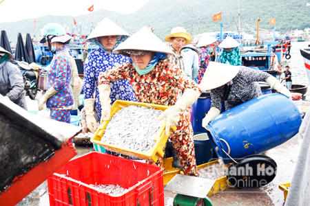 Kỳ 2: Giải pháp nào cho ngư dân?