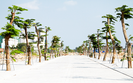 Công ty Cổ phần Tập đoàn Phúc Sơn: Đẩy mạnh đầu tư tại sân bay Nha Trang