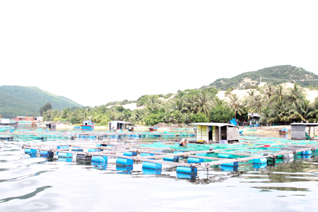 Huyện Vạn Ninh cần tăng cường công tác quản lý hoạt động nuôi trồng thủy sản trên vịnh Vân Phong