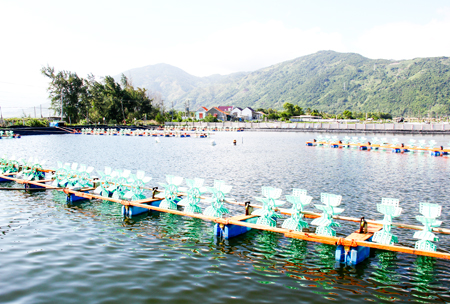 Việc phát triển ồ ạt nuôi tôm thẻ trên bạt tại xã Vạn Thọ  đang để lại nhiều hậu quả về môi trường