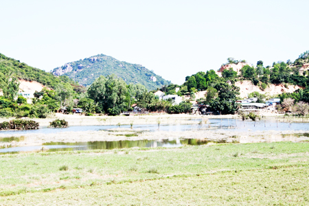 Khu vực tây nam Hòn Nghê: Đảm bảo đất giáo dục khi điều chỉnh quy hoạch