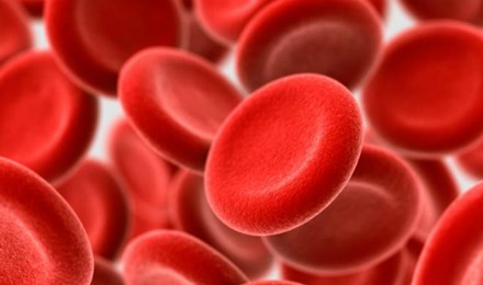 Trẻ hóa máu cơ thể để chống ung thư