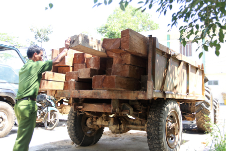 Máy cày độ chế chở đầy gỗ quý hiếm bị Công an Khánh Vĩnh phát hiện, thu giữ hôm cuối tháng 2 vừa qua.