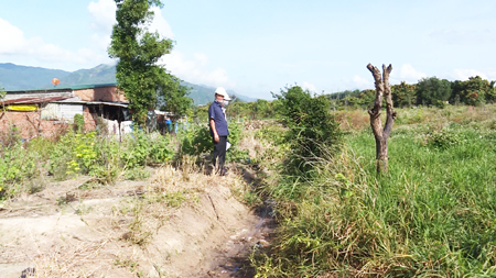 Đình chỉ nhưng vẫn lén lút hoạt động