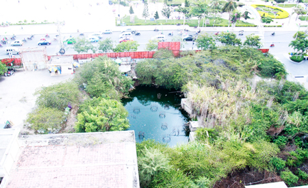 Khu đất 48-48A đường Trần Phú bỏ hoang gần 10 năm nay