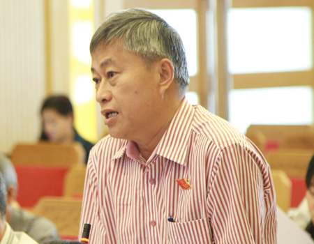 Ông Nguyễn Ngô – Trưởng Ban Kinh tế - Ngân sách HĐND tỉnh thảo luận về vấn đề quảng cáo bằng tiếng nước ngoài.