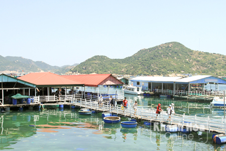 Lúng túng xử lý bè du lịch