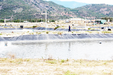 2 khu vực nuôi trồng thủy sản tập trung không phát huy hiệu quả