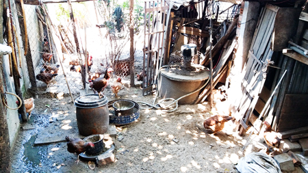 Đã khắc phục dần mùi hôi