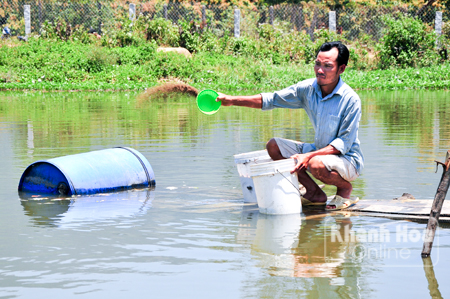 Sức trẻ trên những nẻo đường
