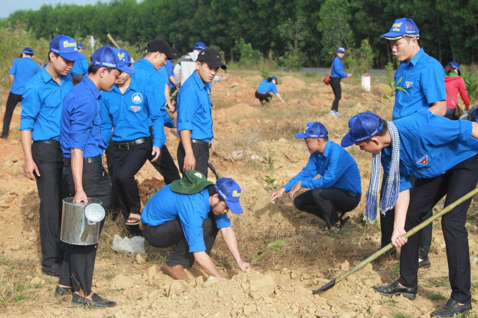 Đoàn viên Công ty TNHH Nhà nước một thành viên Yến sào Khánh Hòa trồng hàng nghìn cây keo lai tại Cụm công nghiệp Sông Cầu