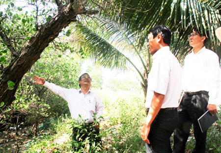 Thường trực HĐND tỉnh khảo sát rừng ngập mặn Tuần Lễ