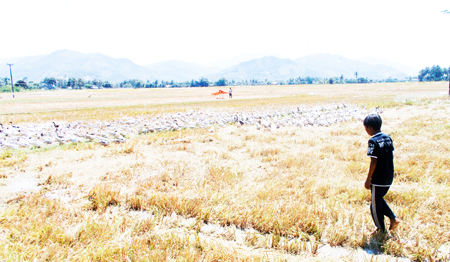 Sẽ xây dựng mô hình hỗ trợ, can thiệp