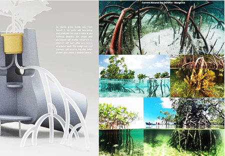  Cấu tạo và sự liên hệ của TetraPot với hệ thống rừng ngập mặn