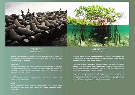 Với thiết kế TetraPot, giải quyết được các vấn đề đang làm đau đầu các nhà cầm quyền và người dân