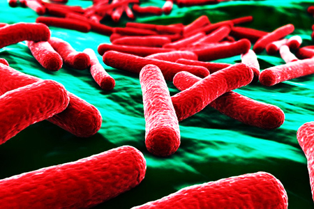 Phát minh ra vật liệu tiêu diệt vi khuẩn E.coli trong 30 giây